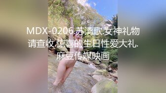 MDX-0206.苏清歌.女神礼物请查收.惊喜的生日性爱大礼.麻豆传媒映画