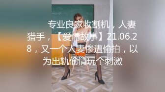 豪乳女神『Diary』淫乱实录 豪乳女友幻身狐尾女仆用蜜穴尽心伺候单男