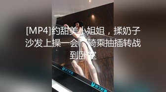 蜜桃传媒 pmc-437 女高中生的破处课程-林玥玥