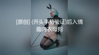 黏黏团子兔 NO.039 女仆小叽