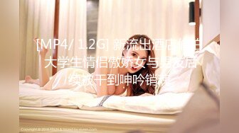 【新片速遞】 麻豆传媒 MD-0265 丰满汽车女销售的车震推销-莫夕慈[757M/MP4/28:26]