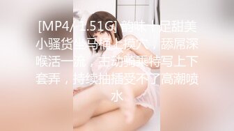 后入精品合辑，第二部