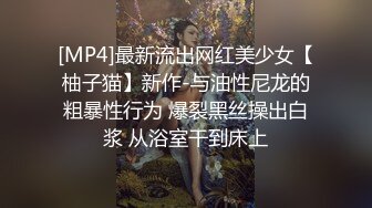 勾搭良家人妻 FC2卖家人妻爱奴 部分中文字幕作品合集【66V】 (35)