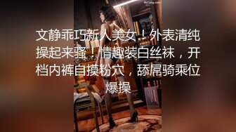 秀人网女神模特 潘娇娇 白领眼镜娘化身性感女秘书 野外车震诱惑满满！