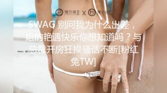 SWAG 别问我为什么出差，姐的艳遇快乐你想知道吗？与总裁开房狂操骚话不断[粉红兔TW]