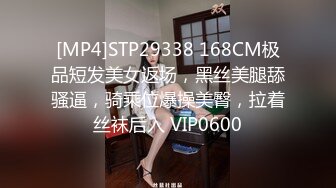 [MP4]STP24222 极品良家御姐深夜来相会 D罩杯大胸好生诱人 乳交调情口交玩得开 VIP2209