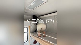 V-三角圆 (77)