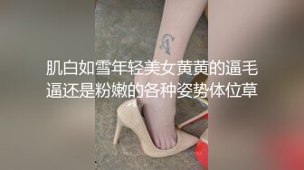 小胖妞发来的 2