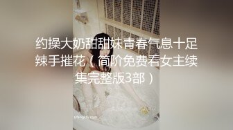 91精品无码人妻系列