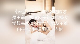 淫荡对白销魂呻吟，推特约炮大咖【夏次健】自传，调教爆肏巨乳肥臀小母狗，无套暴力输出肏到尖叫喊爸爸 (16)