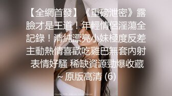 绳艺大师给熟女来个全套SM龟甲缚，奶子上还要贴个血滴子，狂虐这对极品大奶子【200V】 (28)