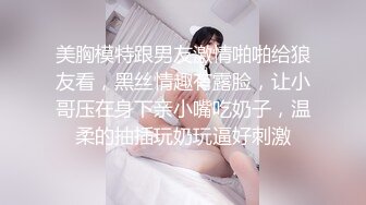 Transexjapan流出妖娆美妖TSchulin官方原片超清22部合集 (19)