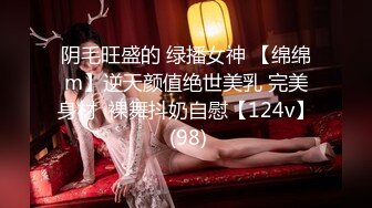 收集的一些淫妻BBC题材的合集2【292V】 (190)