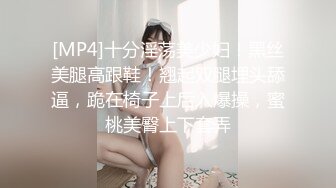 MD-0010_勾引快遞員淫亂人妻主動誘惑官网叶倩茹