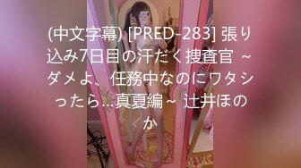 (中文字幕) [PRED-283] 張り込み7日目の汗だく捜査官 ～ダメよ、任務中なのにワタシったら…真夏編～ 辻井ほのか