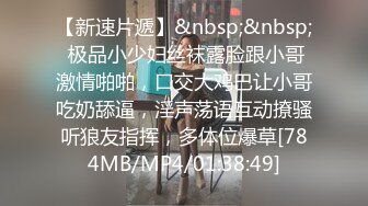 [MP4/ 3.32G] 新流出民宿酒店偷拍 性感情趣内衣美女和男友一边玩手机一边做爱