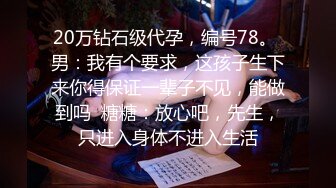 20万钻石级代孕，编号78。 男：我有个要求，这孩子生下来你得保证一辈子不见，能做到吗  糖糖：放心吧，先生，只进入身体不进入生活