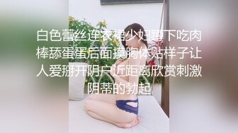 广东内裤哥操极品美女之黑丝高跟性感尤物3