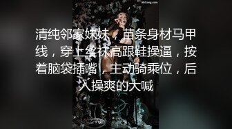 张芸熙.巨乳母狗肉体偿债.耻辱开启了淫荡开关.麻豆传媒映画