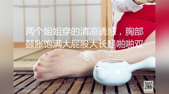 沈先森带你找外围萌妹肉肉身材穿上女仆装  招牌动作抬腿侧入