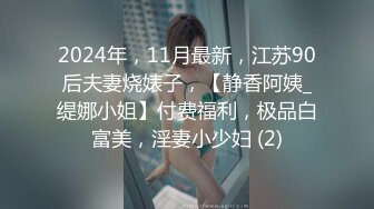 2024年，11月最新，江苏90后夫妻烧婊子，【静香阿姨_缇娜小姐】付费福利，极品白富美，淫妻小少妇 (2)