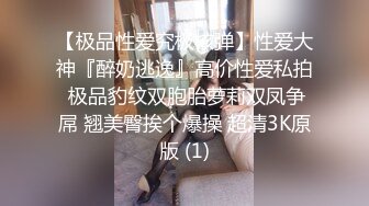 【新片速遞】&nbsp;&nbsp;【极品❤️情趣诱惑】高跟黑丝吊带丝袜御姐 屁眼肛塞尾巴做爱 像只小母狗非常带劲 爆艹内射欲求不满 上玩具继续嗨[1.17G/MP4/3:36:00]