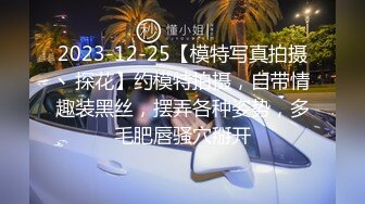 96骚妻  一遍开车 一遍帮我口  微露脸