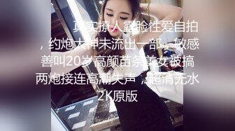 商场女厕全景偷拍高跟制服少妇肥美的大鲍鱼