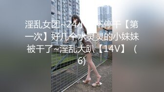 FSDSS-671 「おっぱい好きなら触っていいよ？」ノーブラHカップおっぱいで無防備アピールしてくる彼女の巨乳姉と、圧倒的誘惑に負けちゃう最悪なボク 八蜜凛