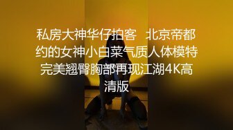 超幻3D视觉爆操双马尾洛丽塔女友喵喵 抓着双马尾疯狂输出 爆精内射 男友视角