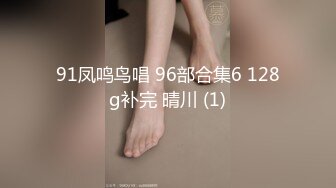 91凤鸣鸟唱 96部合集6 128g补完 晴川 (1)