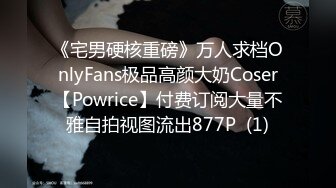 《宅男硬核重磅》万人求档OnlyFans极品高颜大奶Coser【Powrice】付费订阅大量不雅自拍视图流出877P  (1)