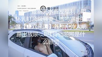 商场女厕全景偷拍高跟少妇的大肥B