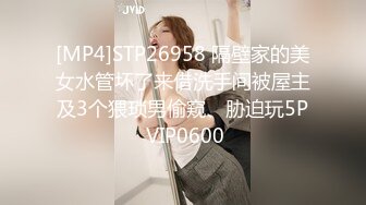 [MP4]STP26958 隔壁家的美女水管坏了来借洗手间被屋主及3个猥琐男偷窥、胁迫玩5P VIP0600