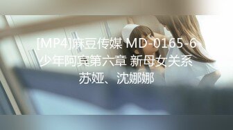 [MP4]麻豆传媒 MD-0165-6 少年阿宾第六章 新母女关系 苏娅、沈娜娜