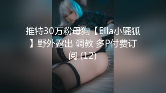 推特30万粉母狗【Ella小骚狐】野外露出 调教 多P付费订阅 (12)